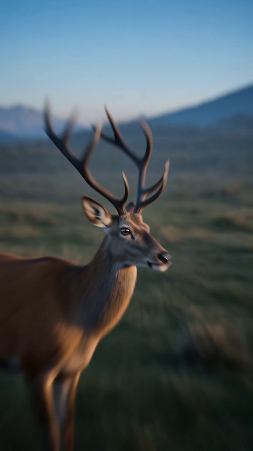 Monitoreo de fauna
